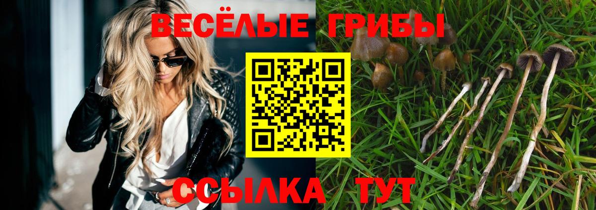 Галлюциногенные грибы Cubensis Алапаевск