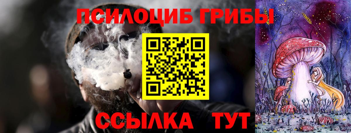 Алапаевск  Псилоцибиновые грибы Cubensis  Вход с VPN 